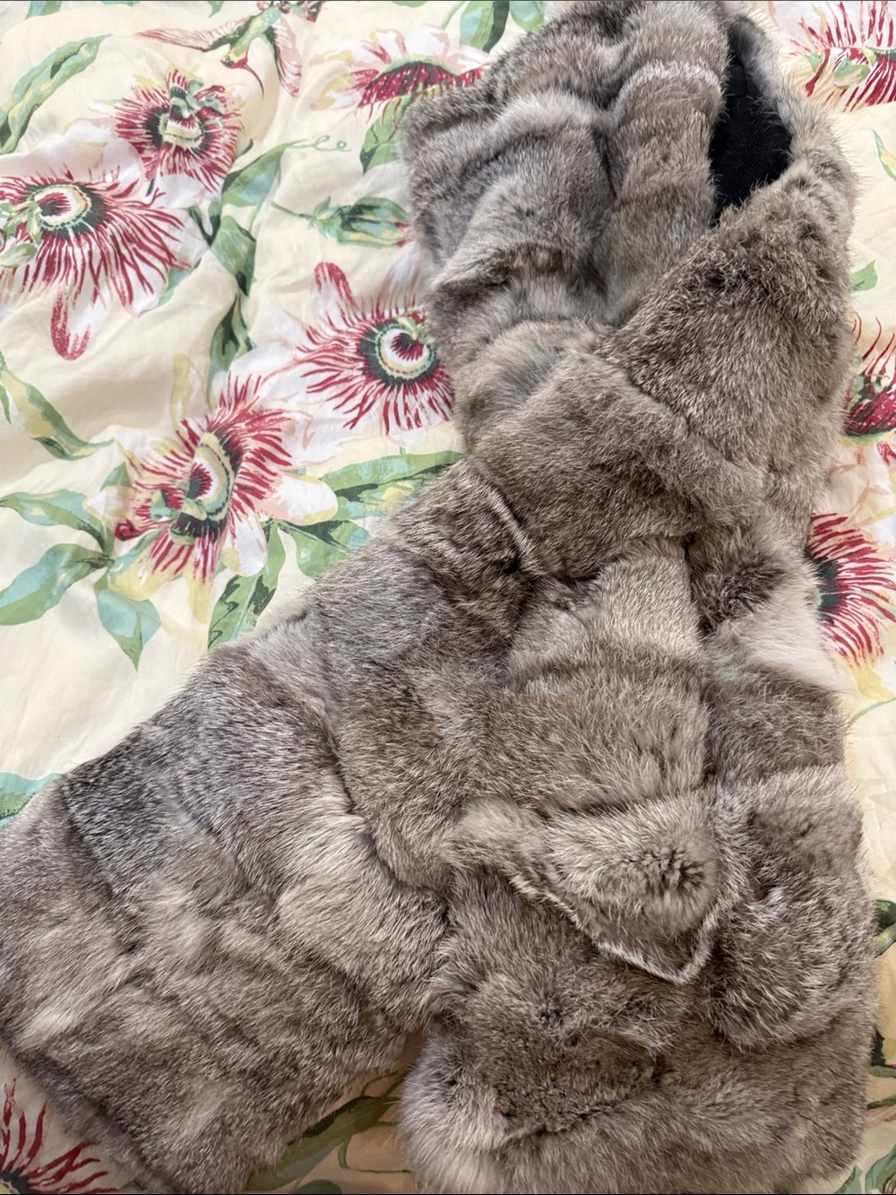 Surell Oversized Rabbit Fur Pull-Through

Gray Rabbit Fur Scarf - Picture 9 of 9